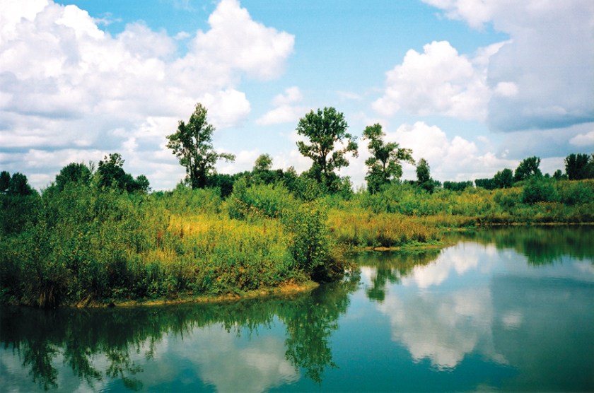 LUCE CHOULES Confluences