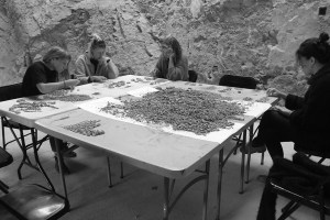 CHOULES workshop programme AADK Spain