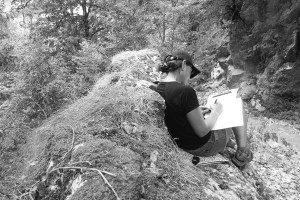 CHOULES workshop programme French Pyrenees