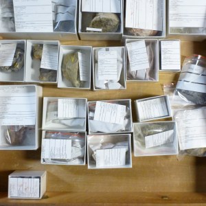 LUCE CHOULES – Source