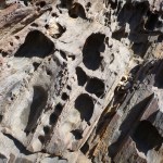 LUCE CHOULES Itinerant Actions