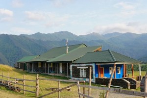 LUCE CHOULES – Wilderness as Archive