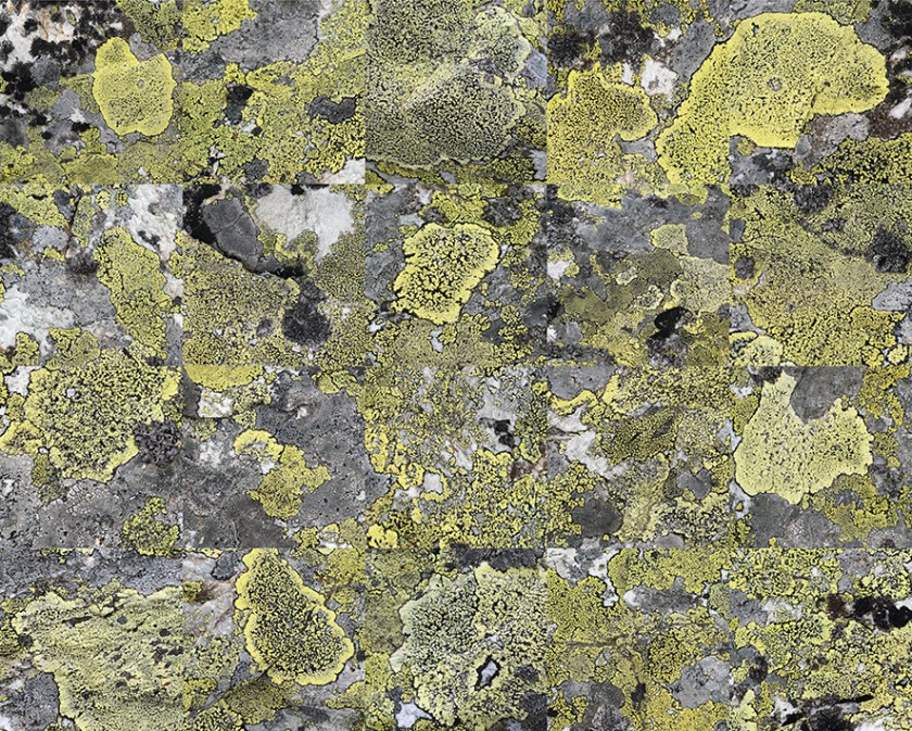 LUCE CHOULES Fieldwork Document (Le Toûno)