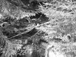 CHOULES workshop programme Arc'Teryx Alpine Academy Chamonix