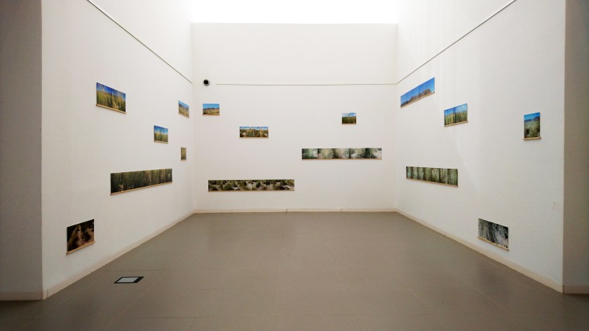 LUCE CHOULES – Esparto exhibition Pedro Cano Foundation (Blanca, Murcia)